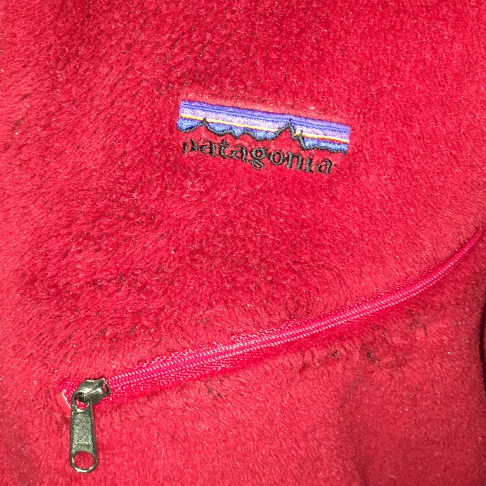 Patagonia R1 Fleece Pullover - Picture 3 of 5